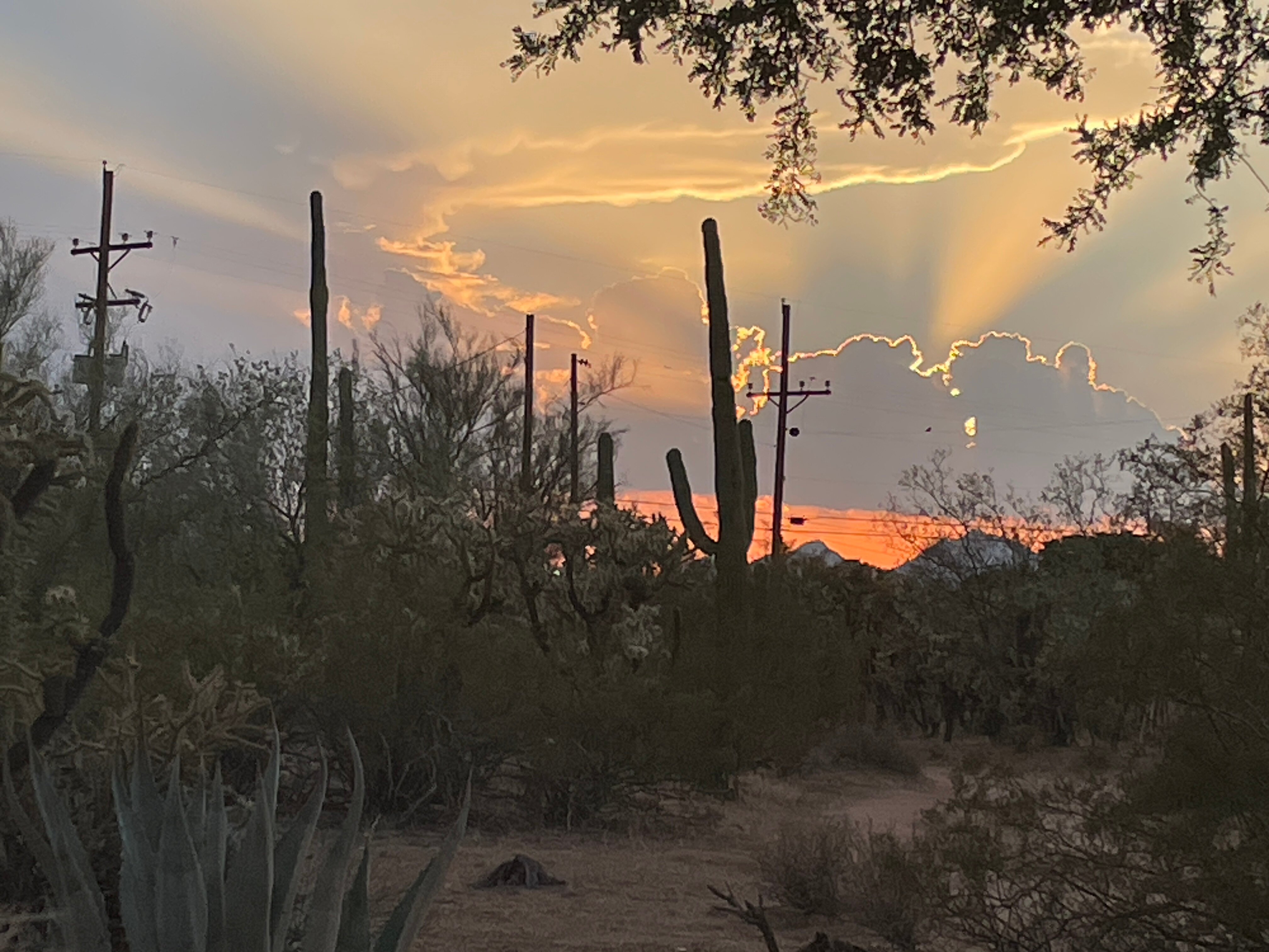 Hacienda Linda Inn and Gallery-酒店景观