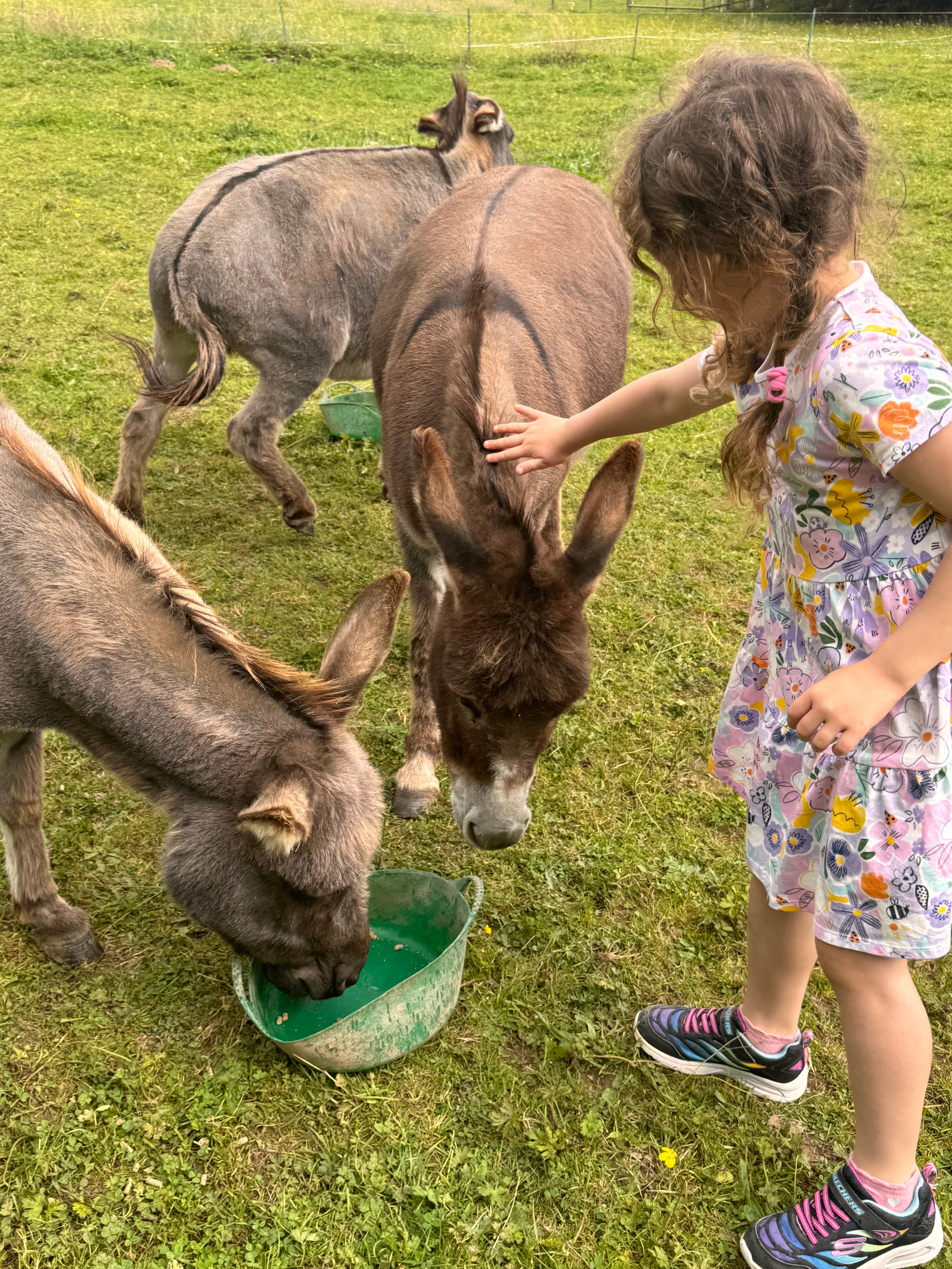 Bush Farm B&B-官方