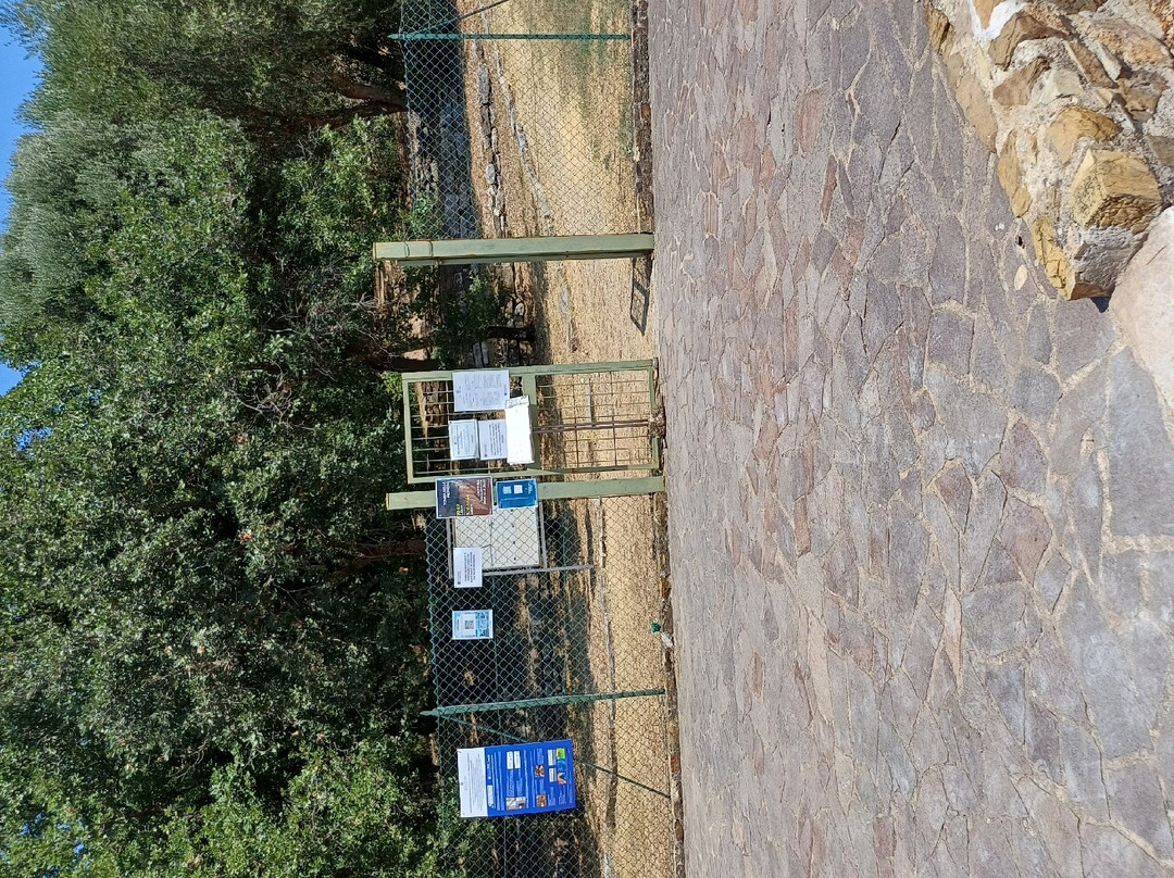 Borgo Antico di Vetulonia景点图片