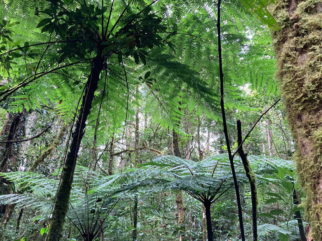 Hotel de Montana El Pelicano主图