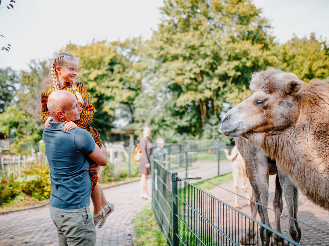 Sanjes Safari-Feanwalden必去景点