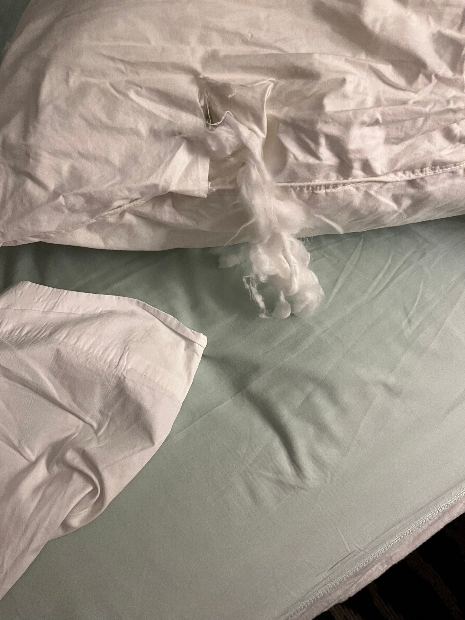 Holiday Hill Inn & Suites-官方