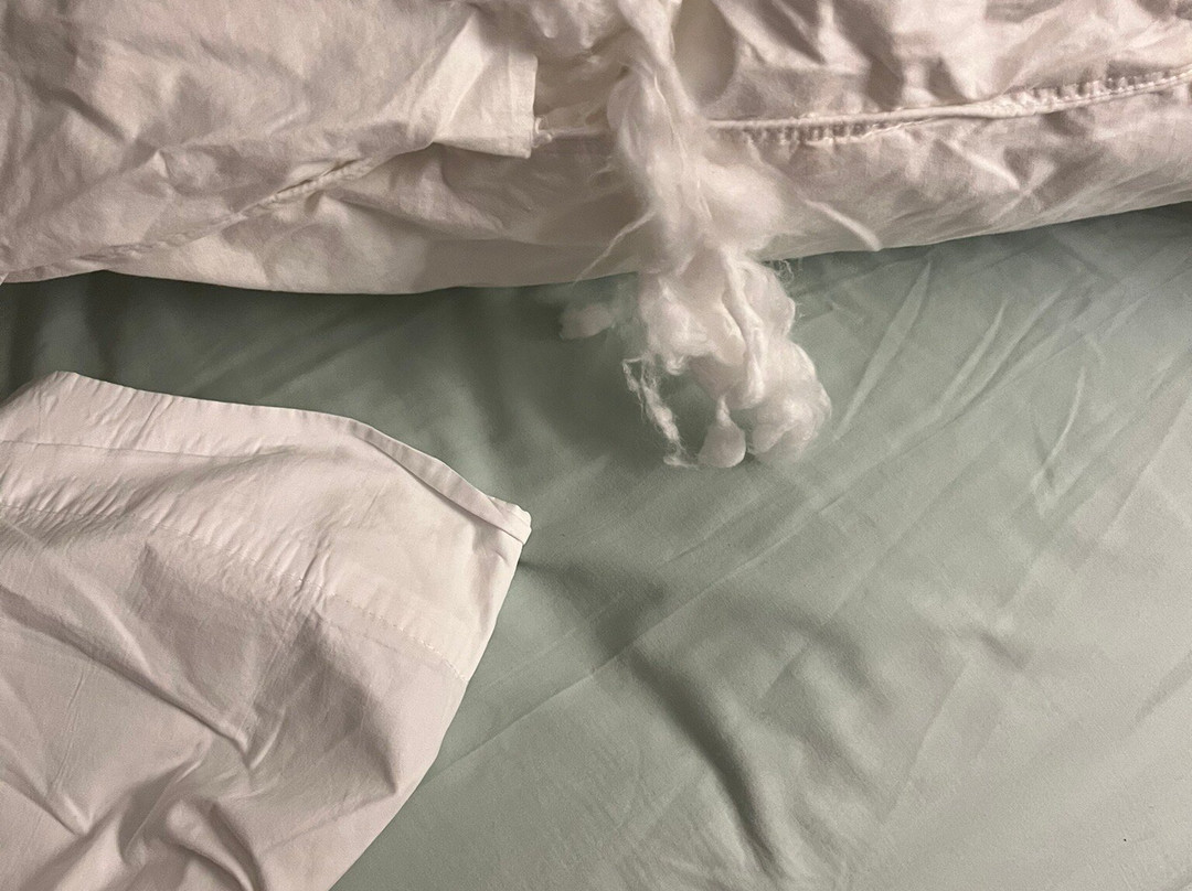 Holiday Hill Inn & Suites主图