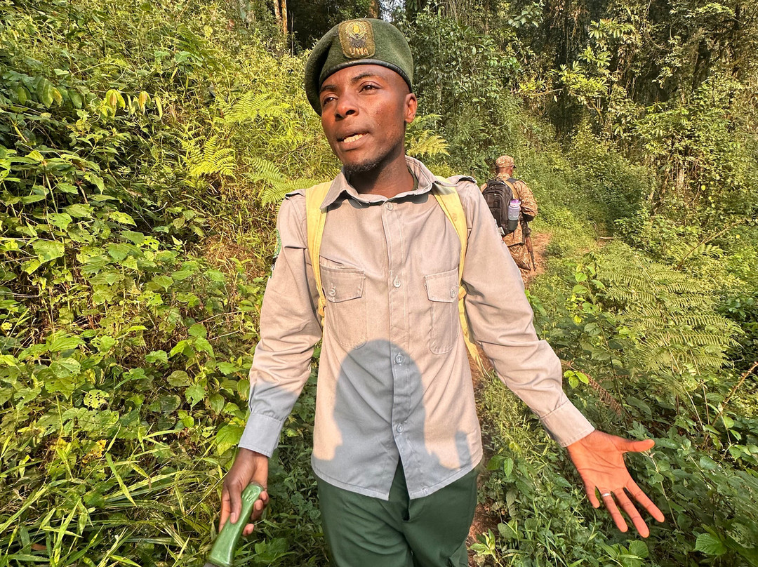 Nyati Hill Cottages主图