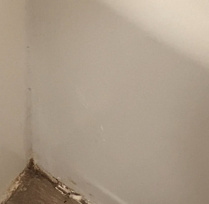 Inn at Mount Shasta主图