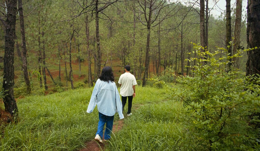 Tethys Himalaya主图