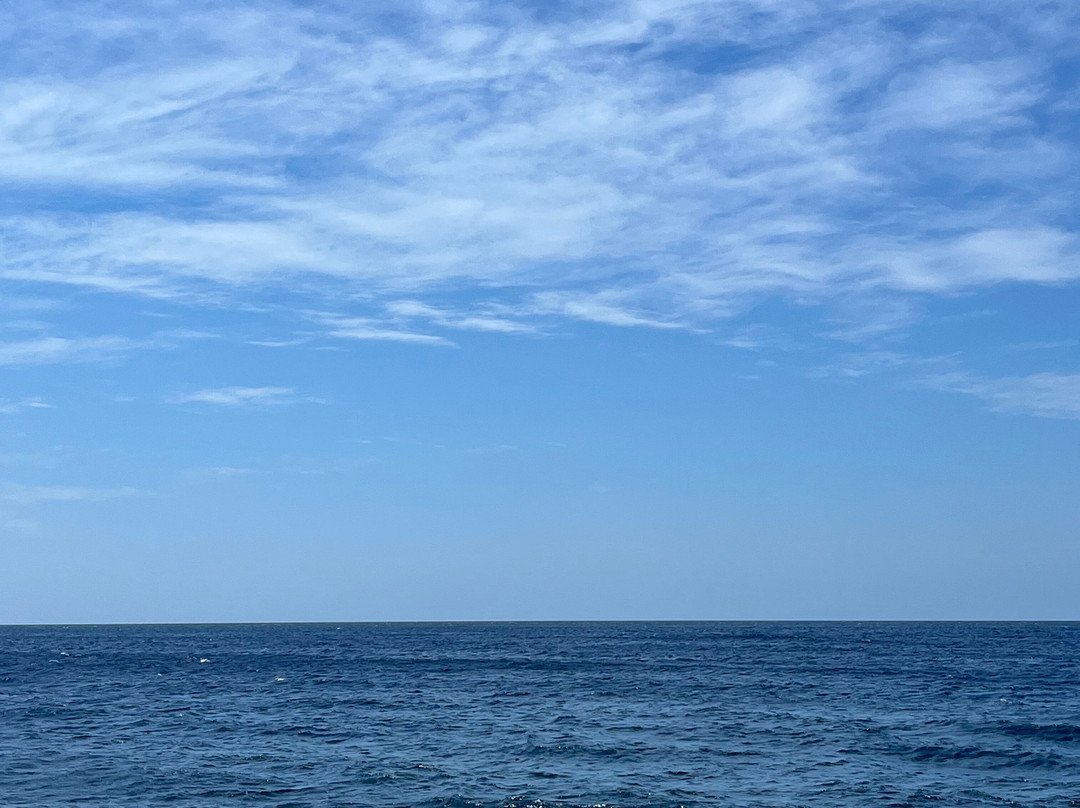 Bali Dive Cove-艾湄湾必去景点