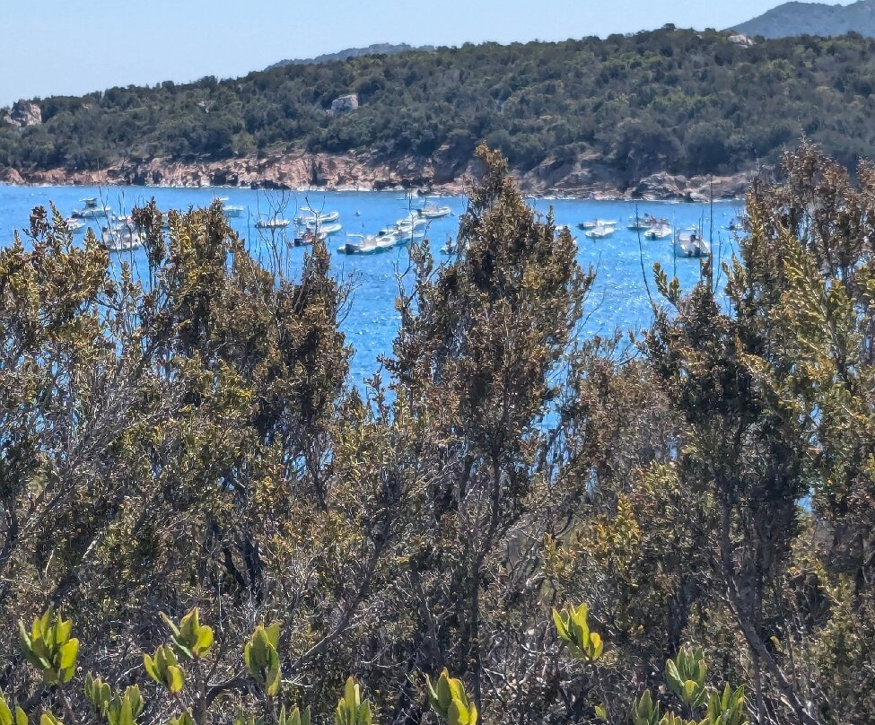 Cala Ginepro Beach-San Teodoro必去景点