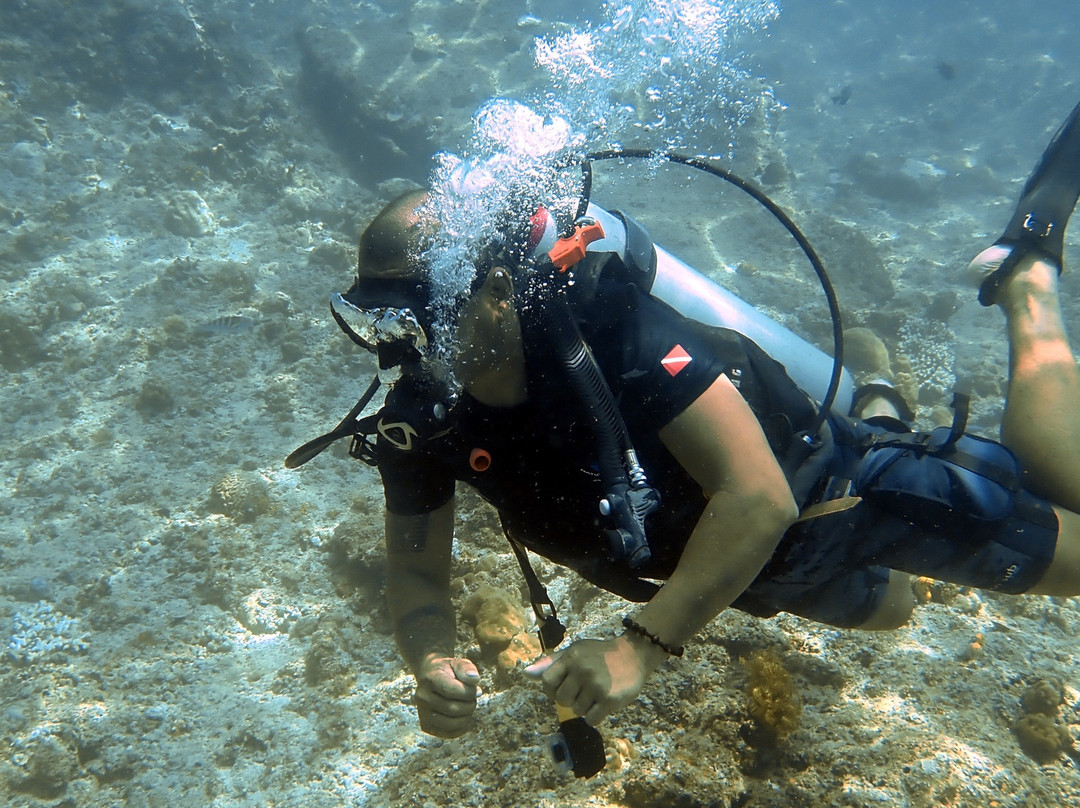 Turtle Divers-爱妮岛必去景点