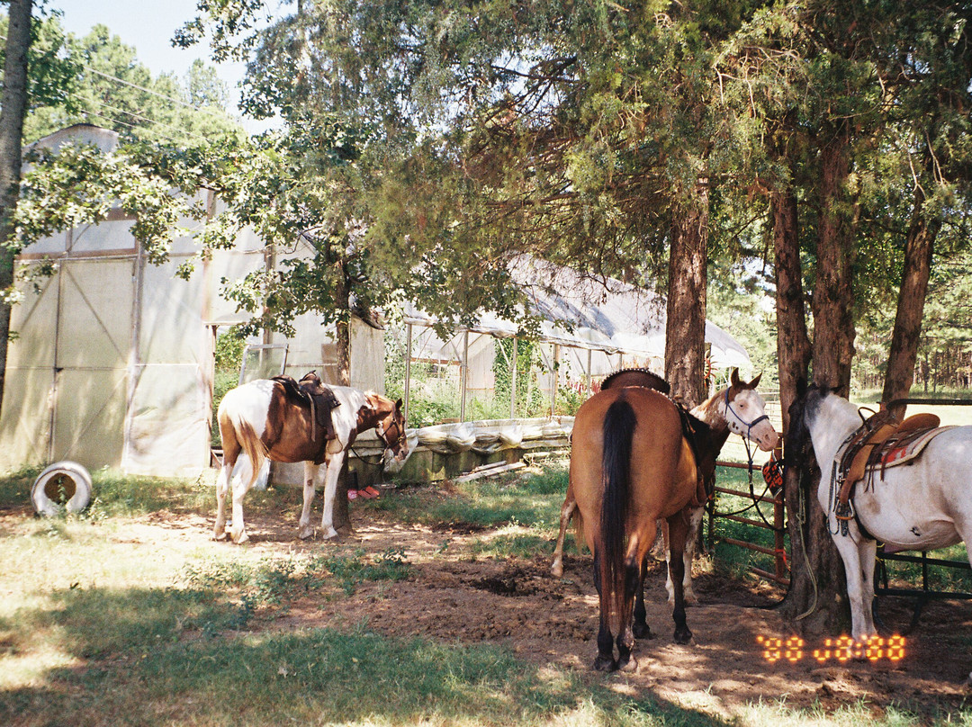 Barnyard Friends Peting Zoo-Morrilton必去景点