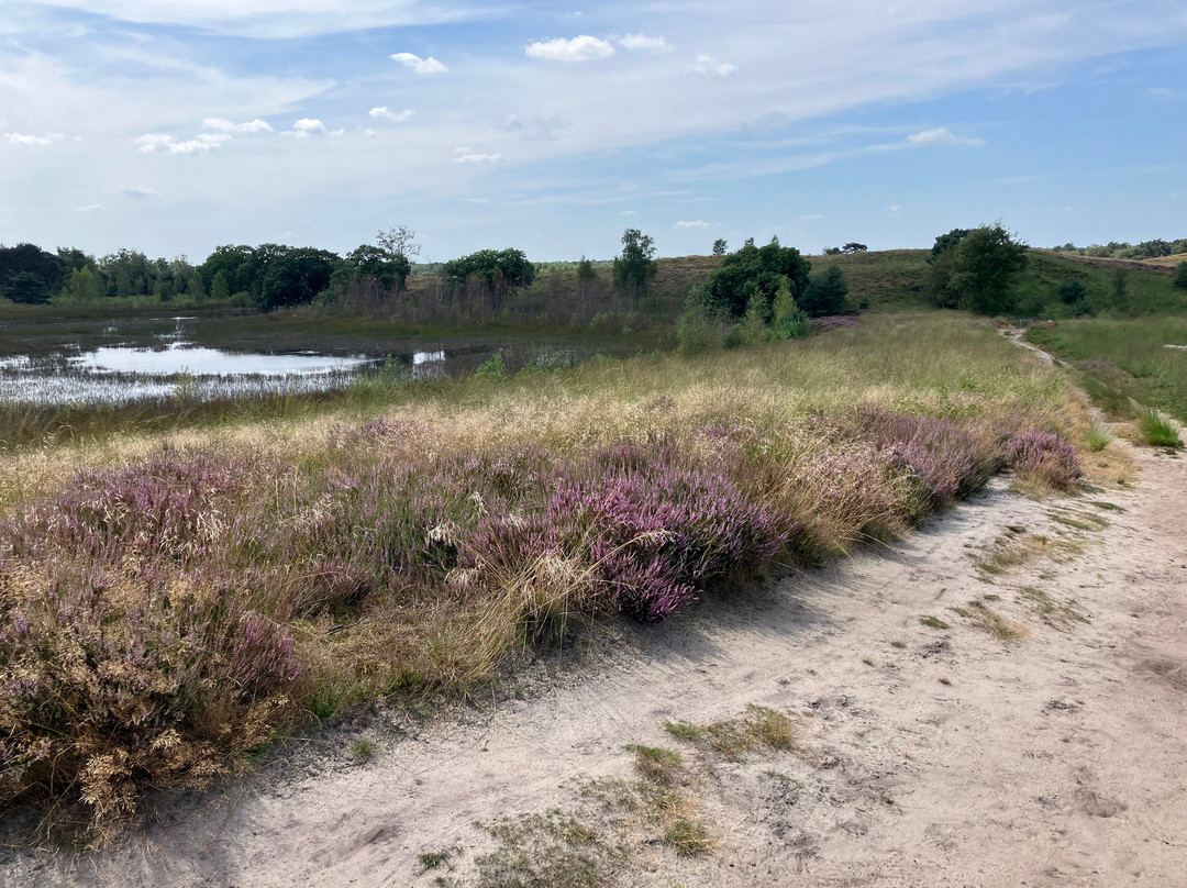 Langoed De Hamert, Wellerlooi-Wellerlooi必去景点