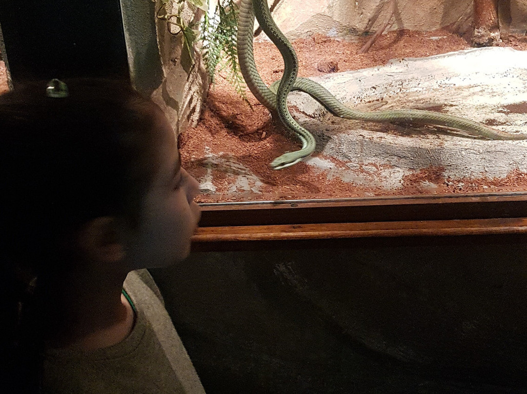 Serpentario Educativo de Tigre-蒂格雷必去景点