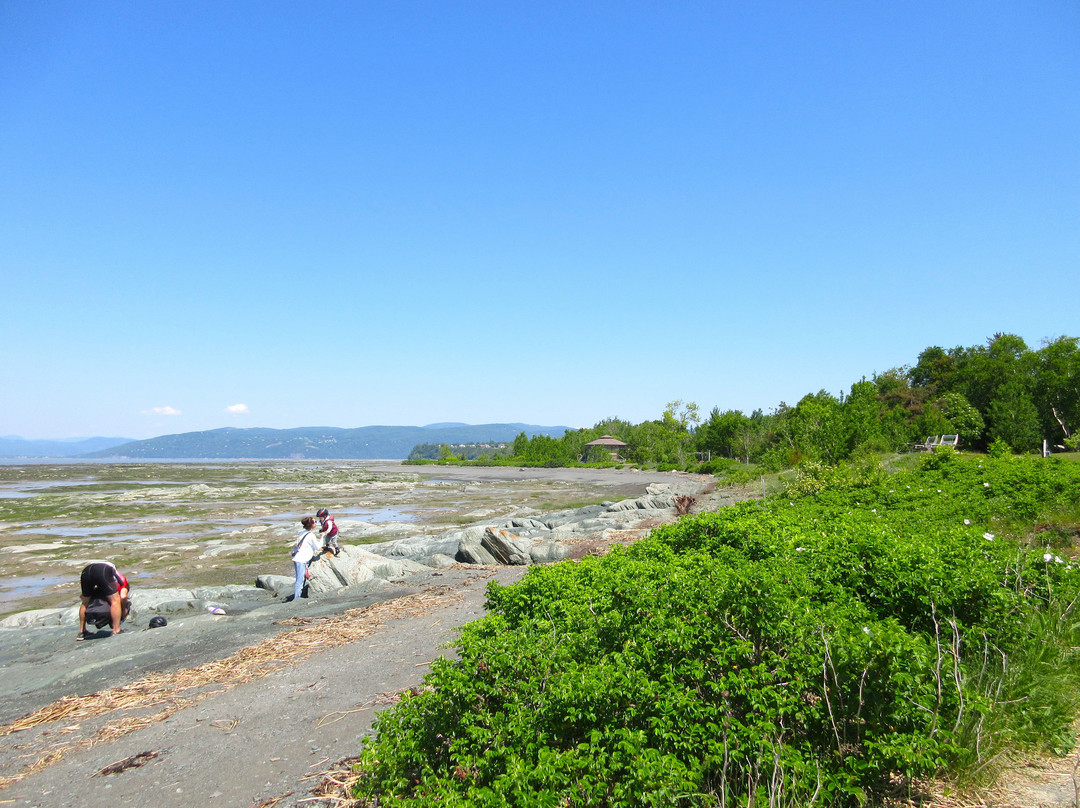 Havre Musical De L'islet-L'Isle-aux-Coudres必去景点