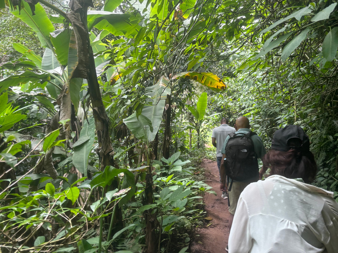 Prosperity taxi services-莫西必去景点