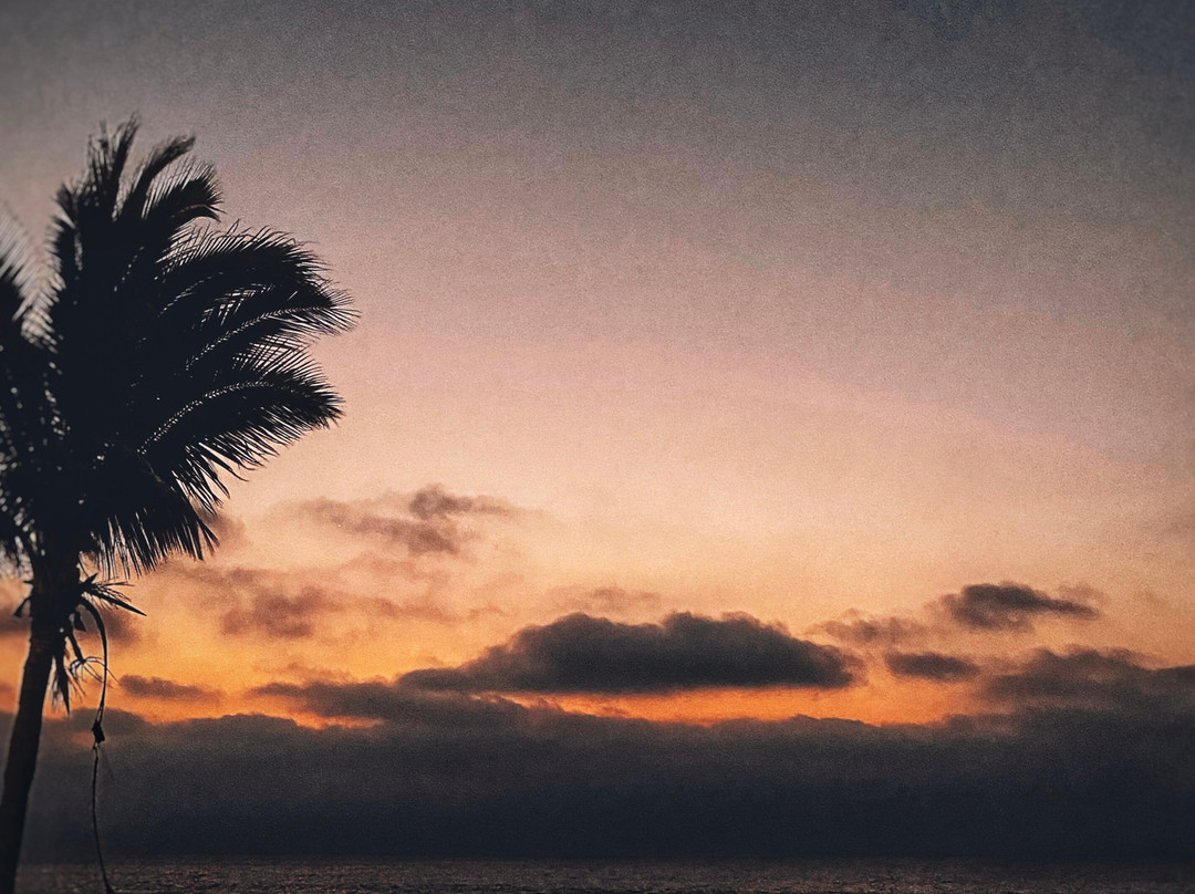 Bungalows & Suites Punta Camaron主图