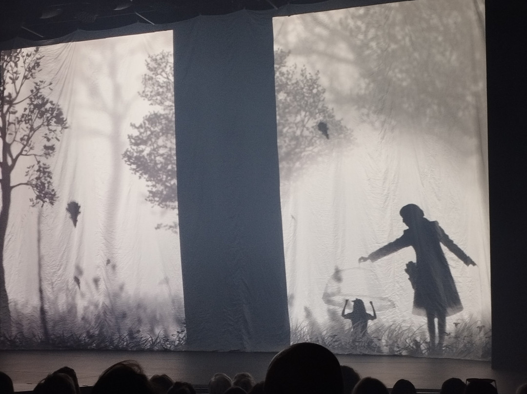 Theater of The Young Viewer-克拉斯诺亚尔斯克必去景点