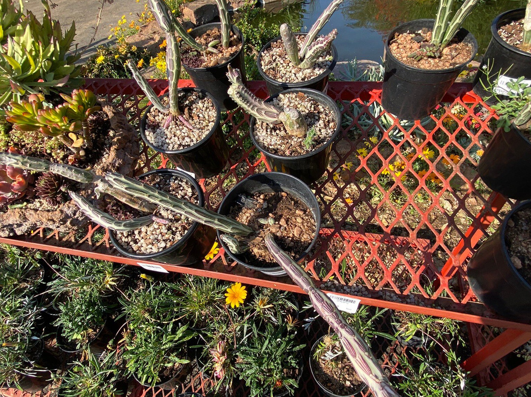 The Aloe Farm-哈特比斯普特必去景点