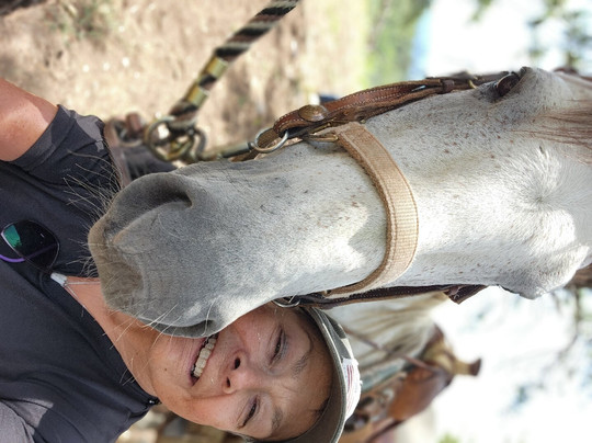 Majestic Outfitters-帕戈萨斯普林斯必去景点