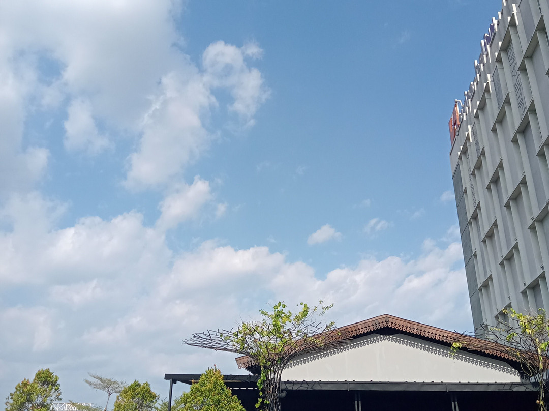 Swiss-Belinn Saripetojo Solo主图