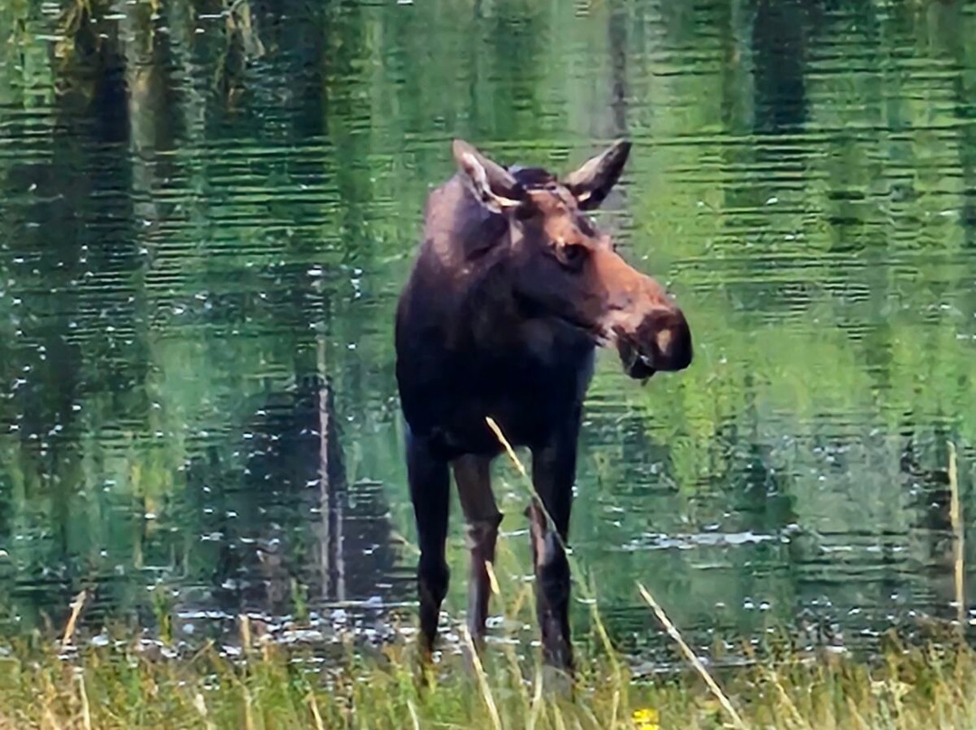 Downtown Estes Park-埃斯蒂斯公园必去景点