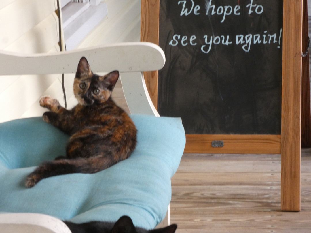 The Duck Smith House Bed & Breakfast主图