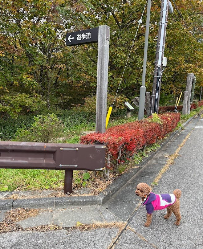 Nasu Nature Study Paths-那须町必去景点