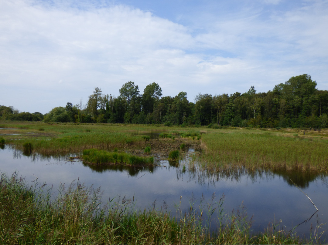 Sculthorpe Moor Nature Reserve-Fakenham必去景点
