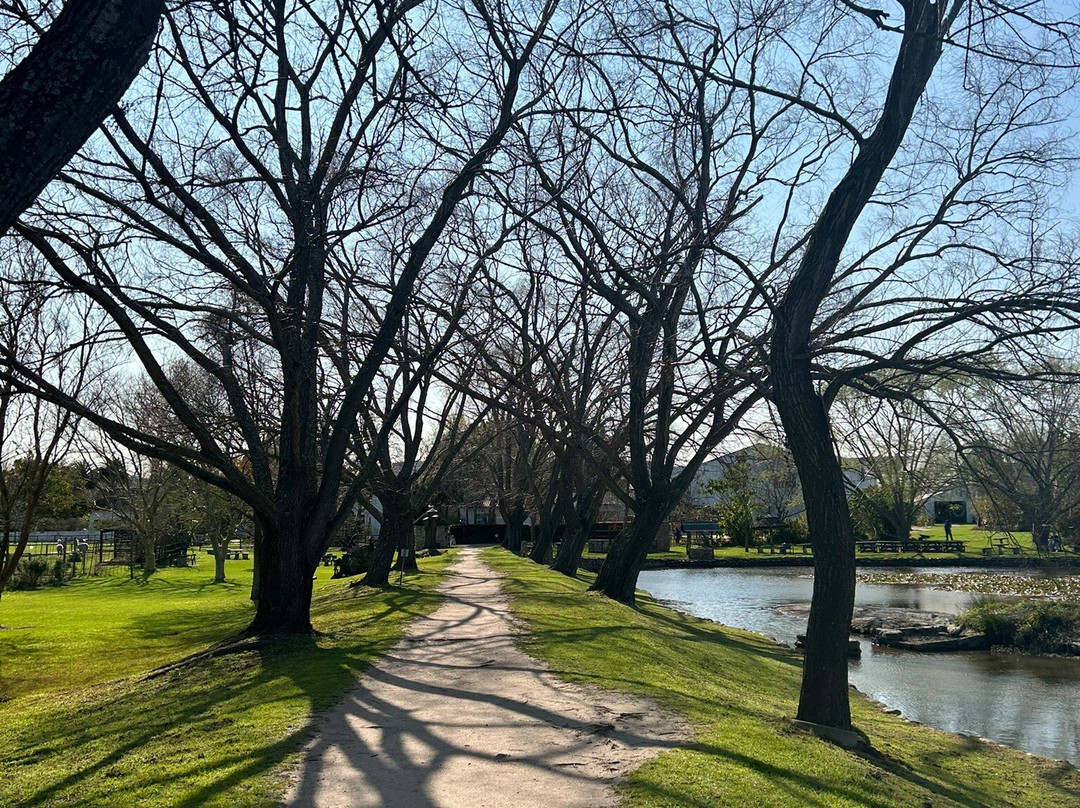 Vredenheim-斯泰伦博斯必去景点