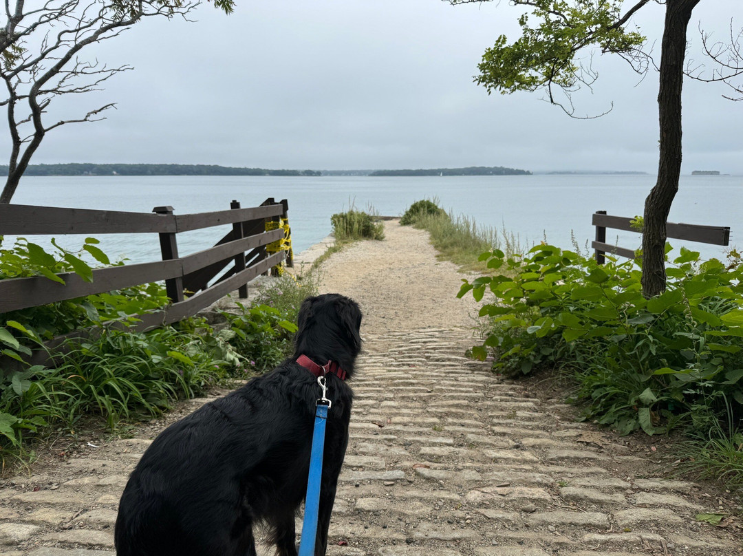 Mackworth Island State Park景点图片