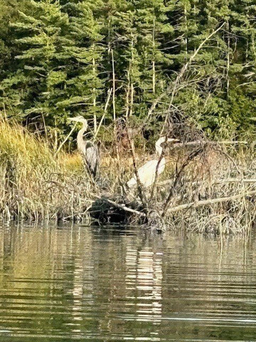 Seaspray Kayaking-West Bath必去景点