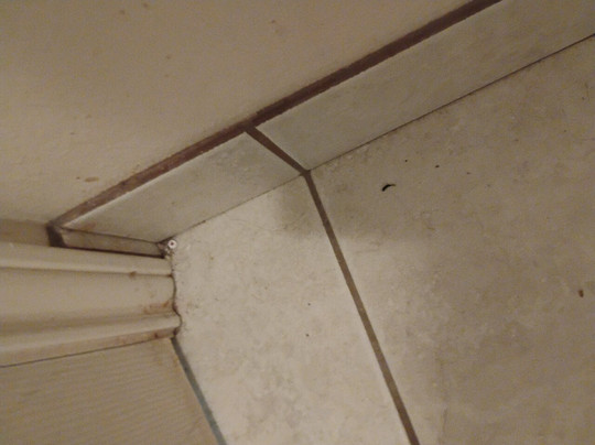 Days Inn by Wyndham San Angelo主图