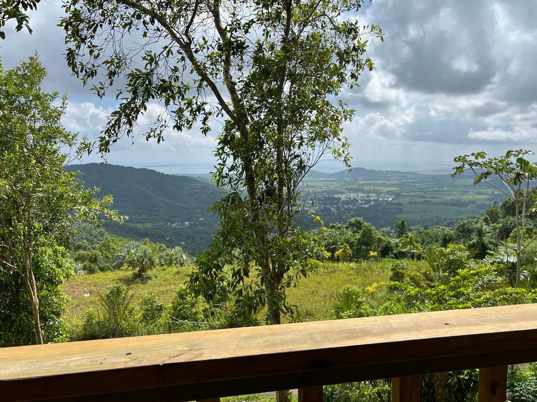 Hacienda Chocolat-法哈多必去景点