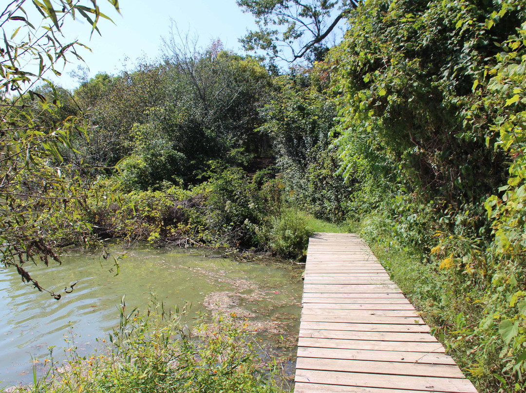 A.W. Campbell Conservation Area-Alvinston必去景点