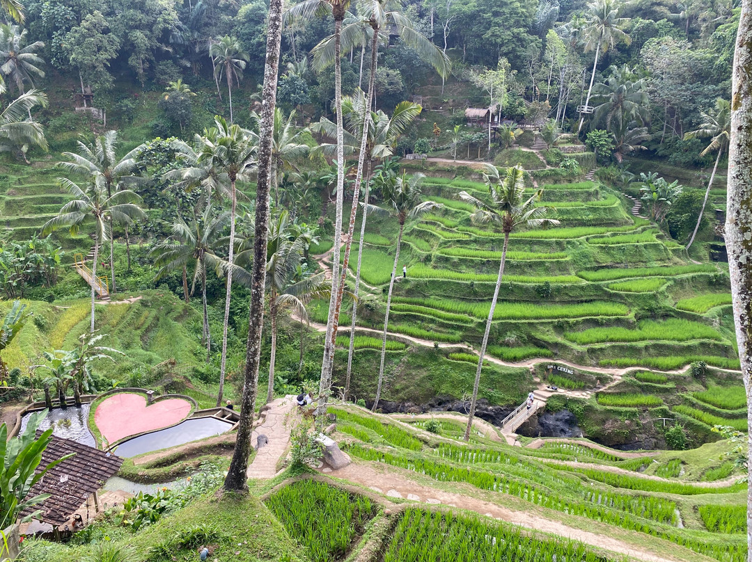 Bali Lovely Trip-登巴萨必去景点