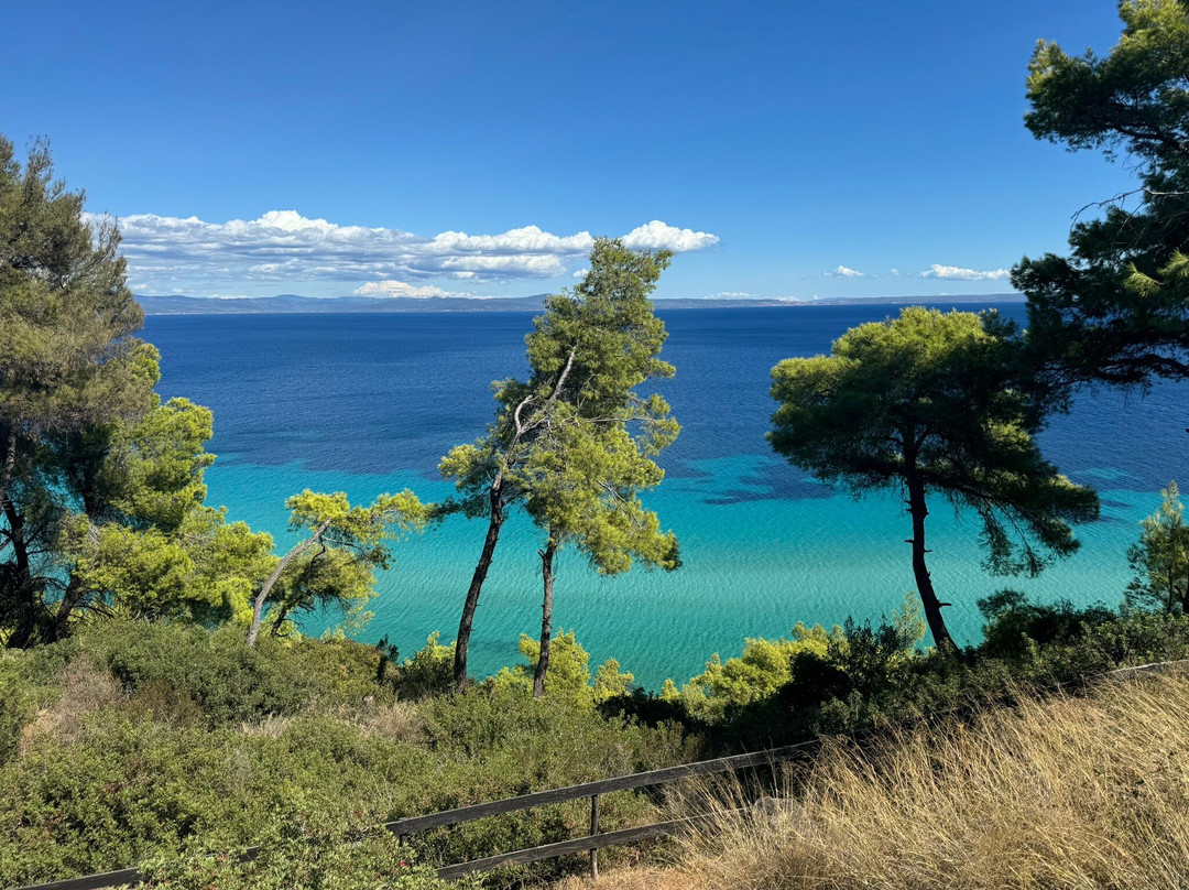 Elies 33 Bio Retreat主图