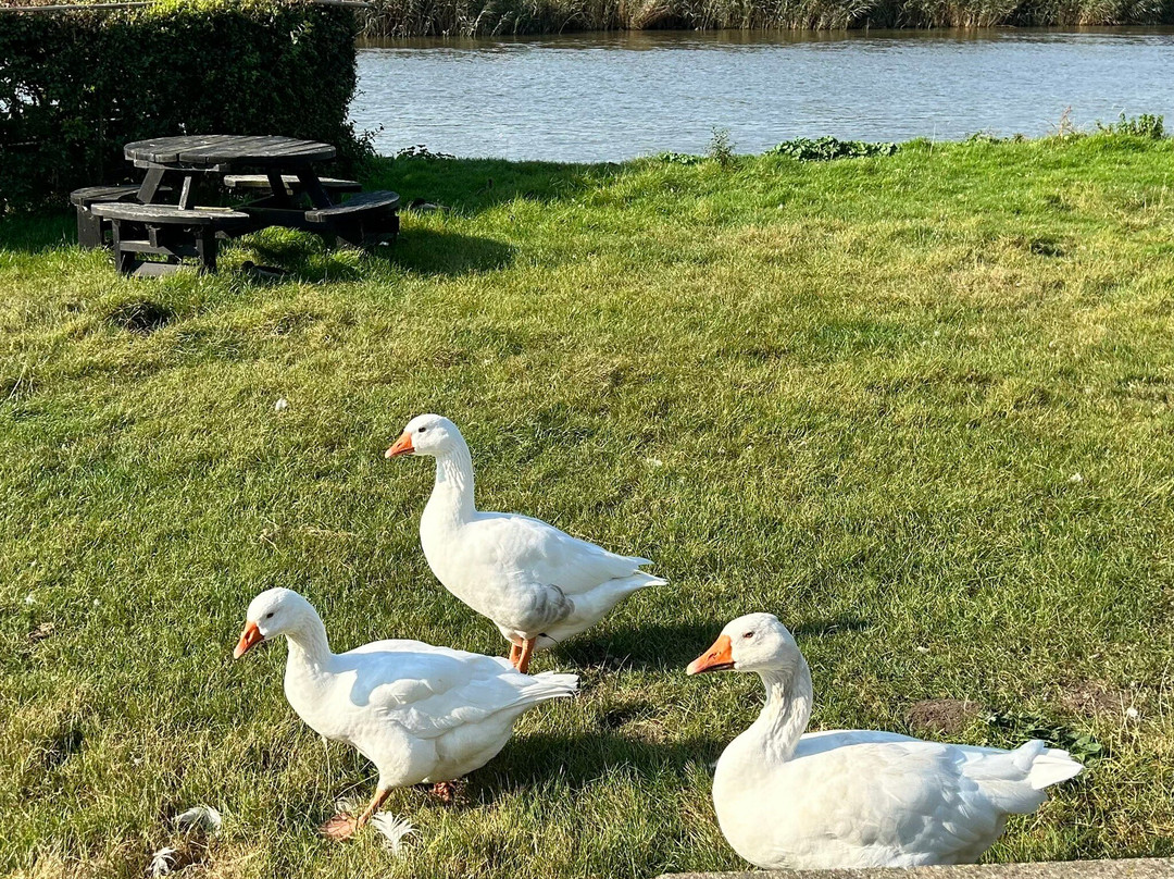 Willow Barn Norfolk Broads B&B