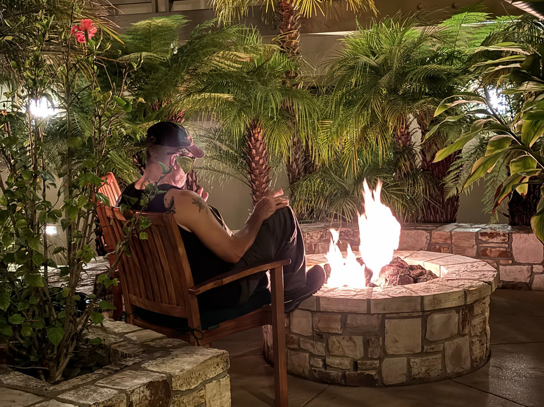 贸易风卡梅尔酒店主图