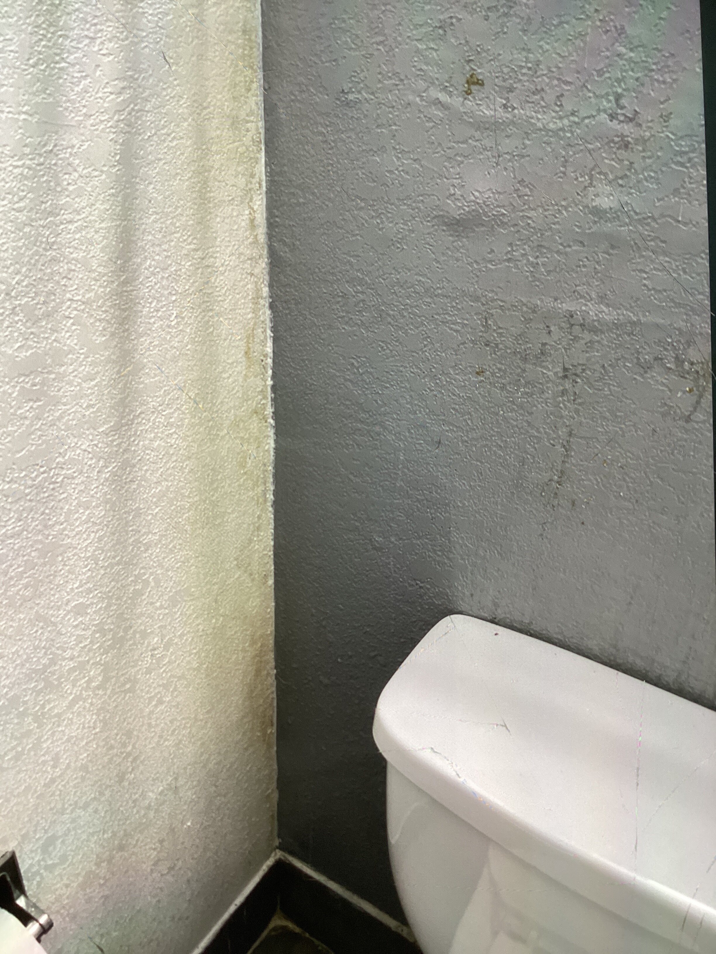 Quality Inn & Suites Hardeeville - Savannah North-浴室