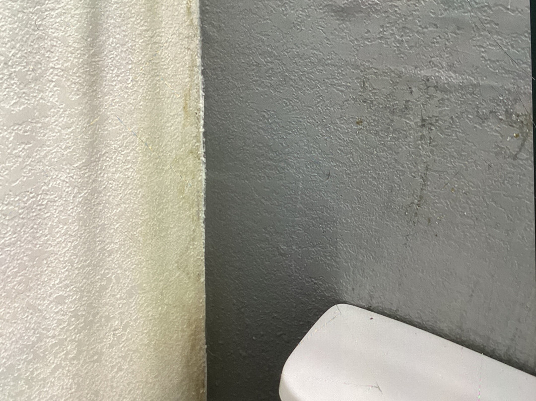 Quality Inn & Suites Hardeeville - Savannah North主图