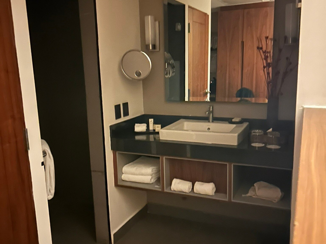 Fiesta Americana Monterrey Pabellón M主图