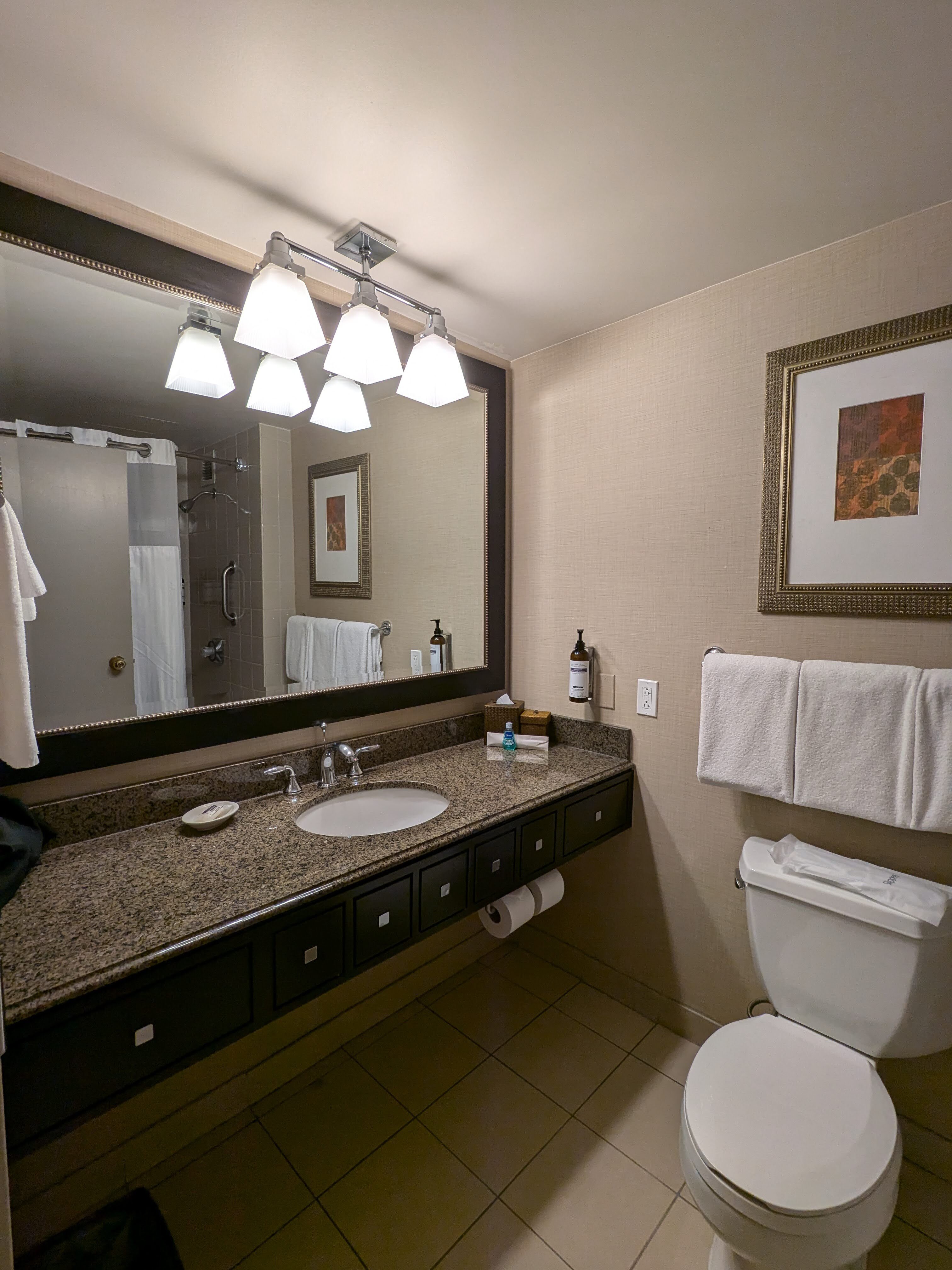 Hyatt Regency Reston-浴室