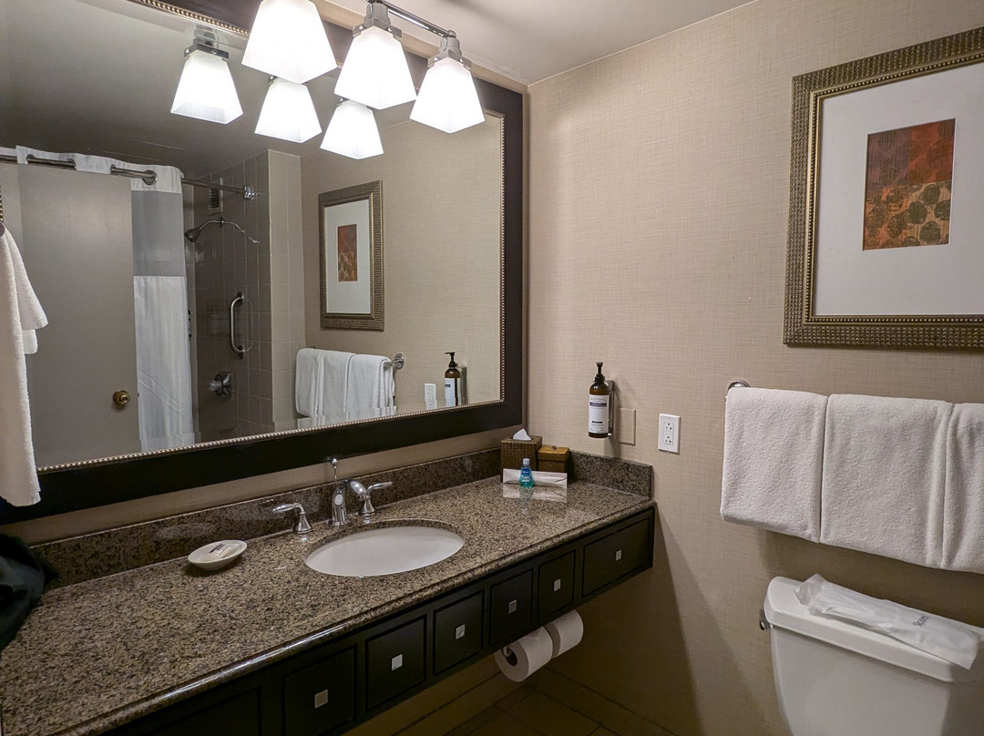 Hyatt Regency Reston主图