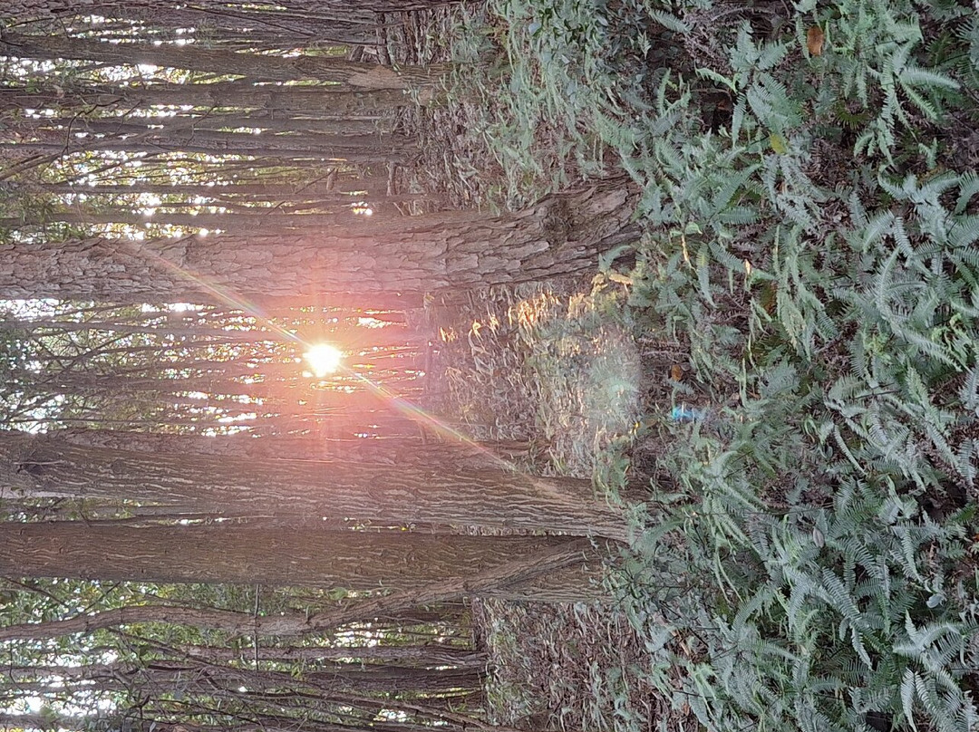 浦江仙华山-浦江县必去景点