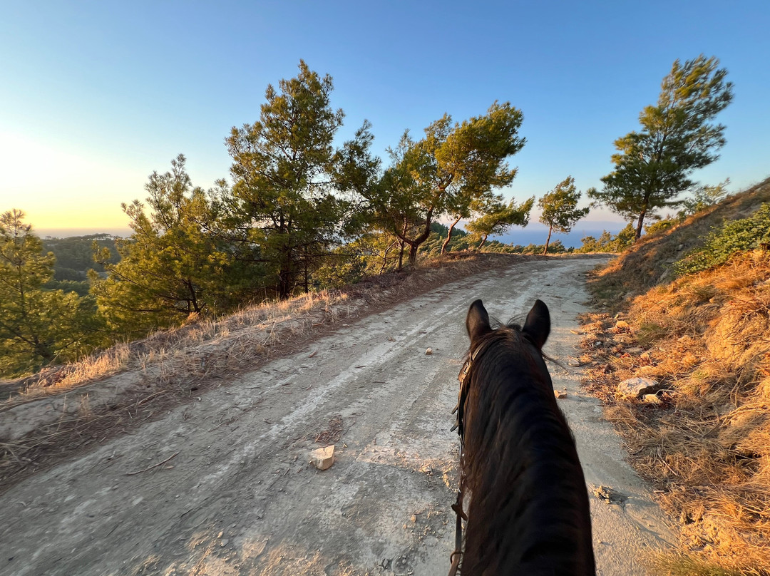 Horse Riding Rhodes Apollon-Kalithies必去景点