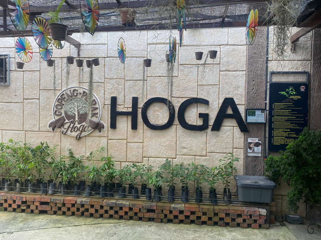 Gaharu Tea Valley-务边必去景点