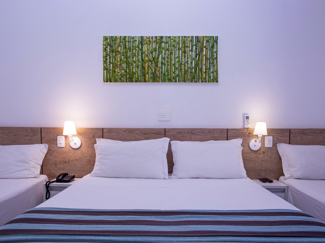 Ciribaí Praia Hotel主图