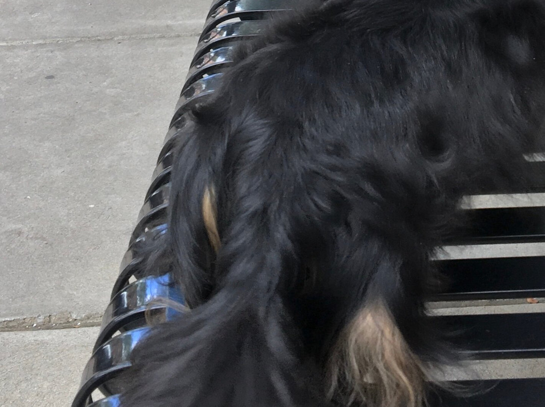 Holiday Inn Express & Suites Rehoboth Beach by IHG主图