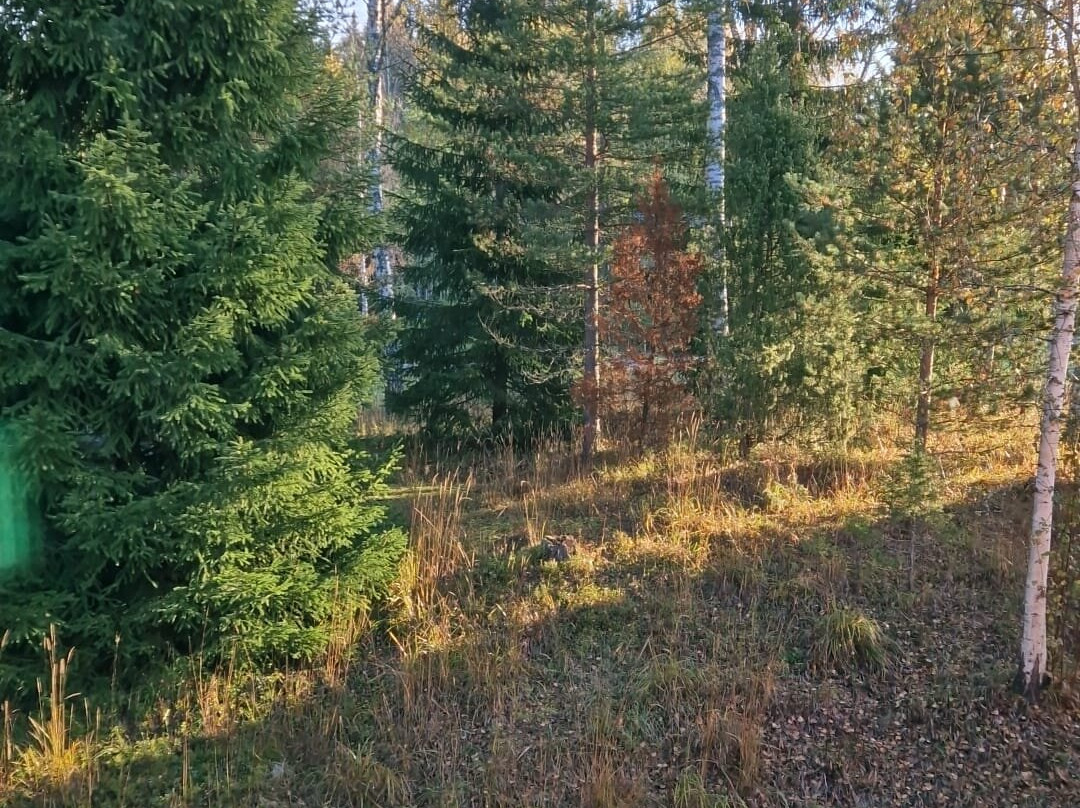 Hotel Nuuksio-埃斯波必去景点