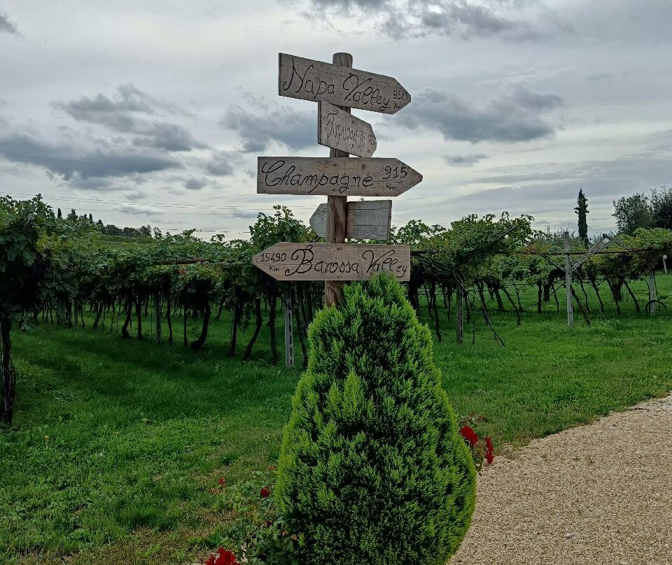 Agricola Pietro Zardini景点图片