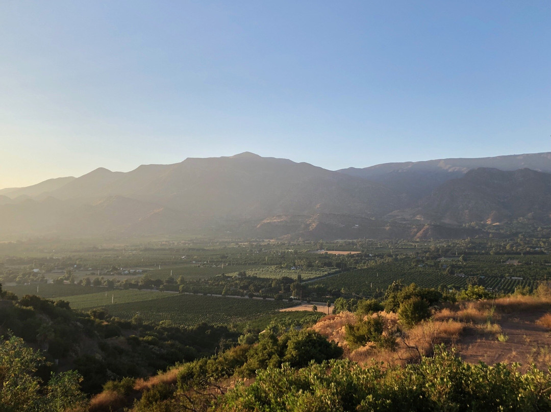 Emerald Iguana Inn主图